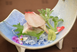 お造り: 縞鯵 バラフ 大葉 山葵