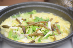 煮物:春野菜の卵とじ うるい 土筆 黄にら せり 春キャベツ 嬉光卵 仁淀川山椒