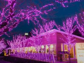吉田屋イルミネーション。只今、開催中!~2018年1月31日まで。