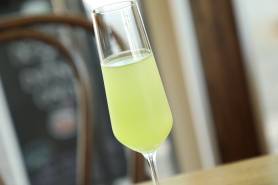 水出し嬉野緑茶