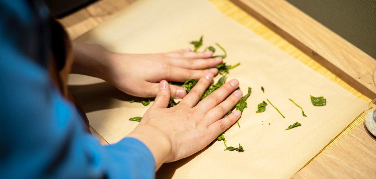 嬉野茶体験 Ureshino Tea Experience