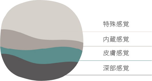 四つの感覚